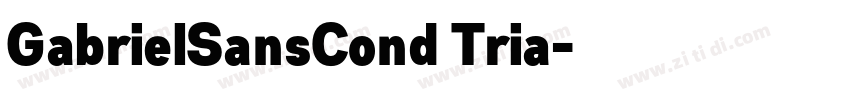 GabrielSansCond Tria字体转换